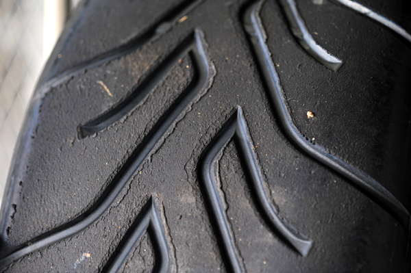 1121 s2 6 DSC_7162.jpg